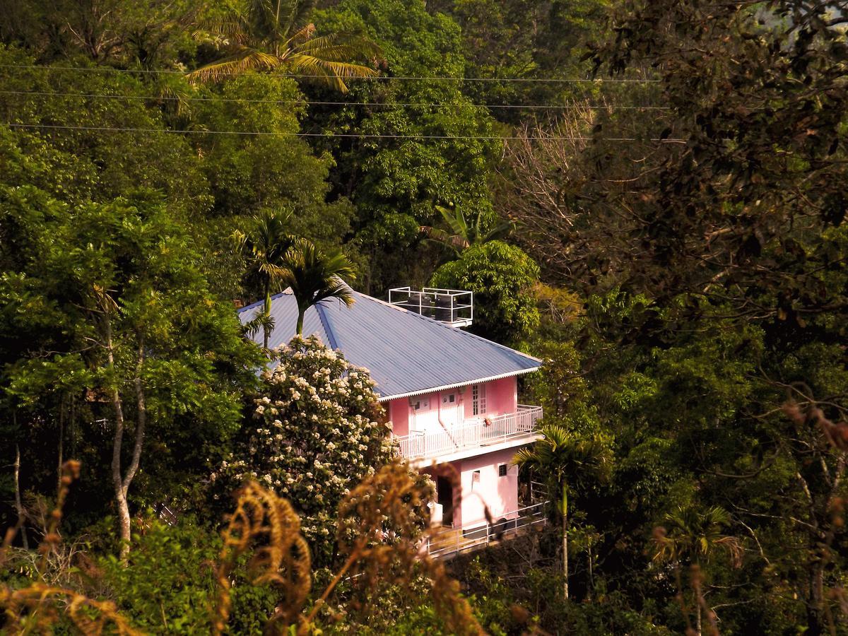 Drizzle Valley Cottage Munnar Eksteriør billede